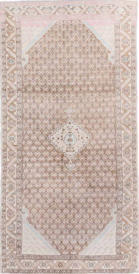 Antique Malayer Runner Rug (4' x 9')